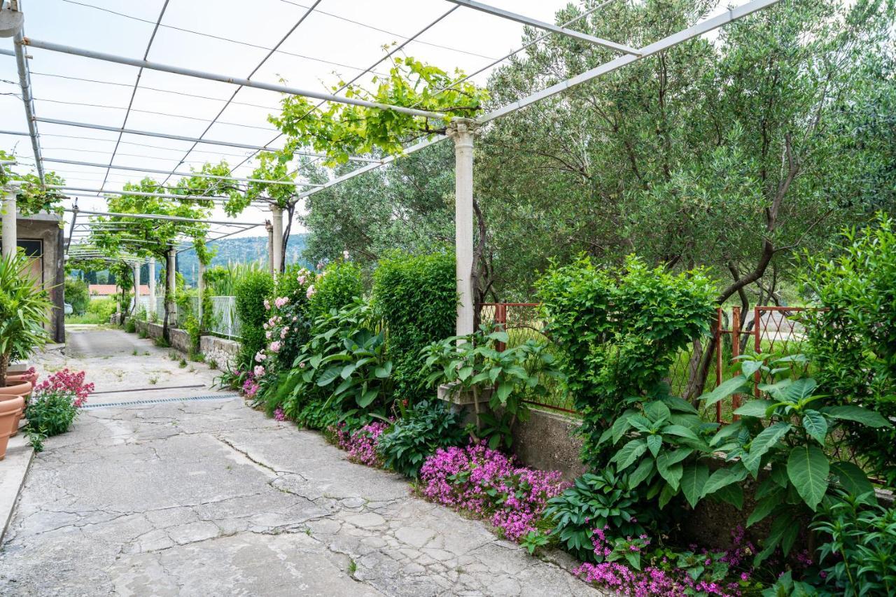 Francesca Guesthouse Mlini Bagian luar foto